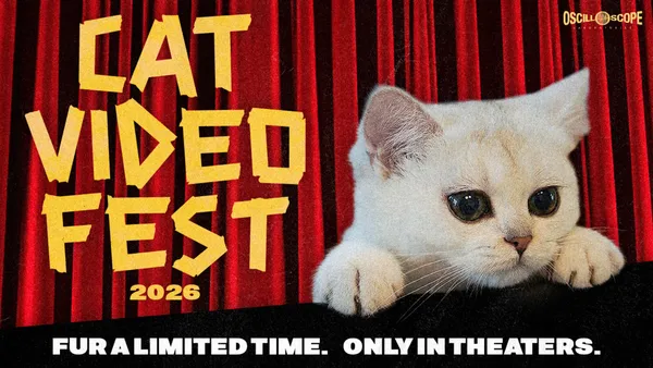 CatVideoFest 2026