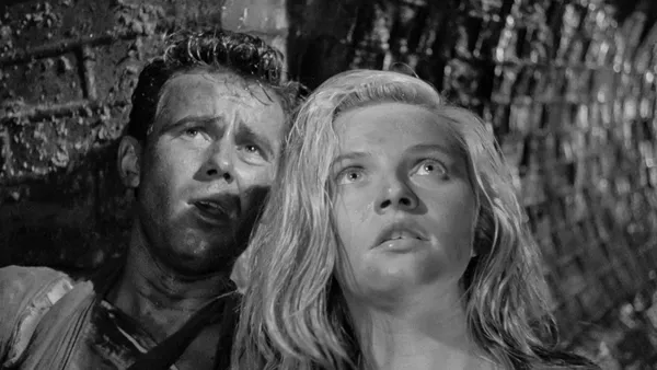 The Films of Andrzej Wajda: Kanał